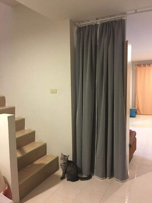 ����ҹ�������������ͧ��繢��