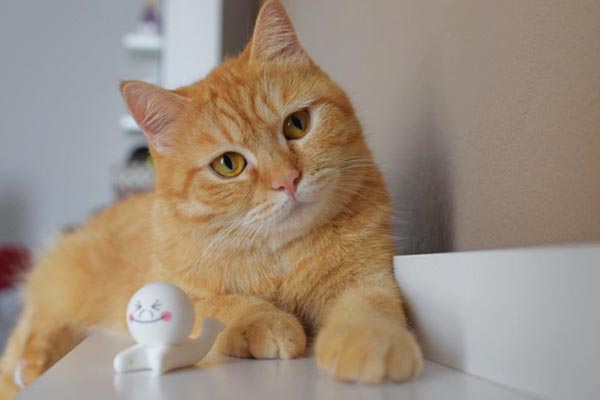 ����ҹ�������������ͧ��繢��