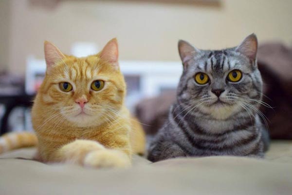 ����ҹ�������������ͧ��繢��