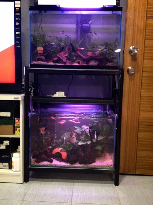 ����Ƿ��ͧ�͹���� 25 ���ҧ����