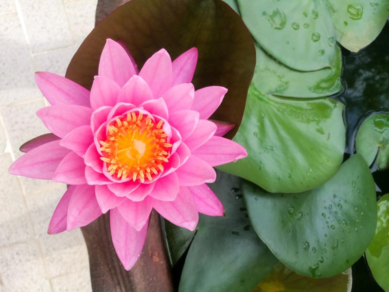 �͡���������ǧ����