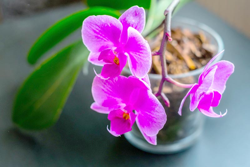 �͡���������ǧ����