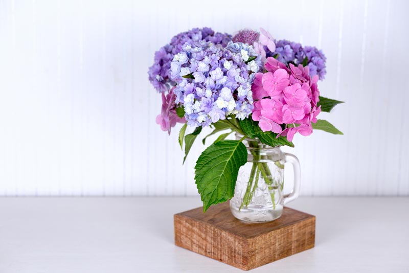 �͡���������ǧ����