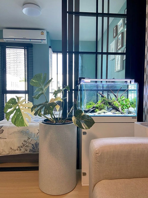 �觤͹� ���ͧ͢�ͧ ����ҡ������͹��ҹ