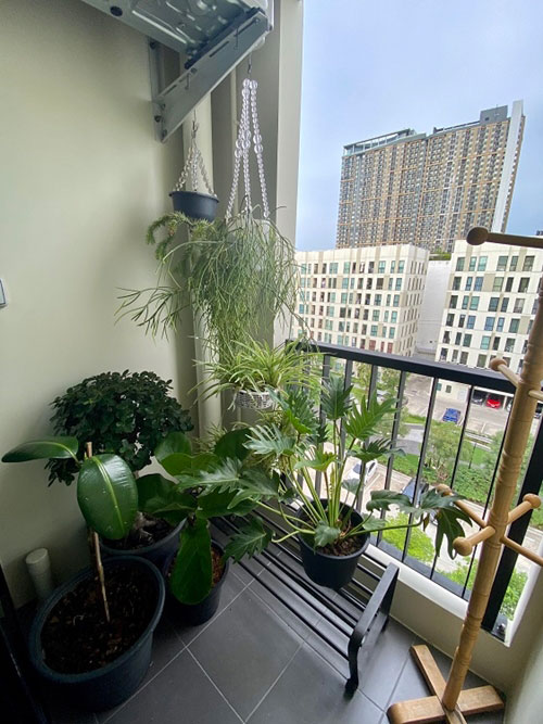 �觤͹� ���ͧ͢�ͧ ����ҡ������͹��ҹ