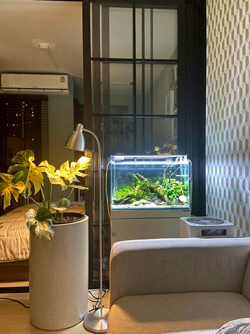 ���觤͹� 27 ��.�. ����ҡ������͹�������ҹ