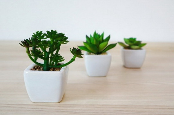 ������ͧ�͹Ẻ���º���� ���� ZEN