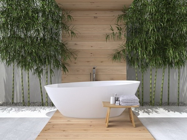 ������ͧ�͹Ẻ���º���� ���� ZEN