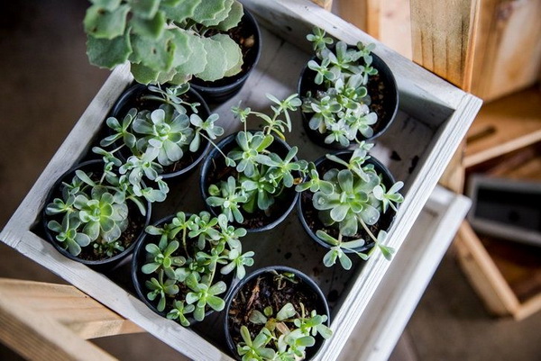 ��������������������Ѻ������ʹ�ѡ