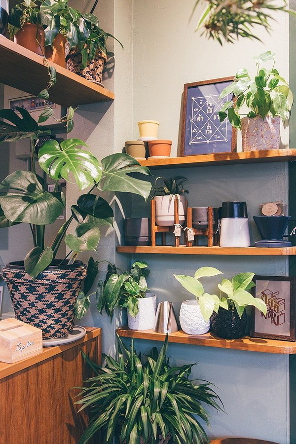 ��������������������Ѻ������ʹ�ѡ