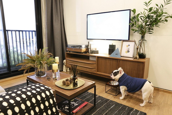 5 ��ͤ����� ��͹�Դ������§�ѵ��㹤͹��