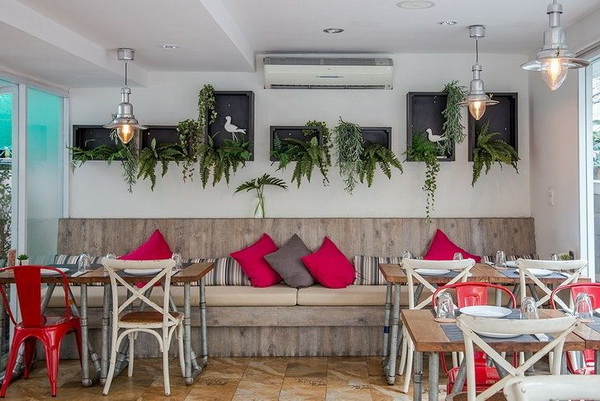 �������� �Ѵ�觺�ҹ�����������