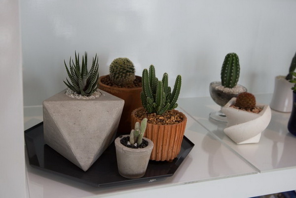 ������������ҹ������� ����¹�ͧ�����繢ͧ�觺�ҹ