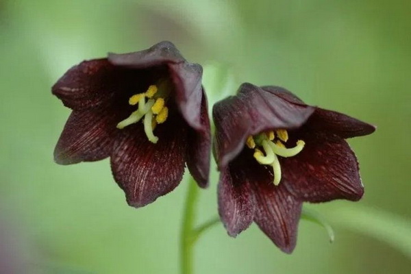 6 �͡����մ� ��������ⴴ�����Ѻ��ҹ