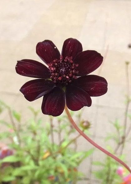 6 �͡����մ� ��������ⴴ�����Ѻ��ҹ