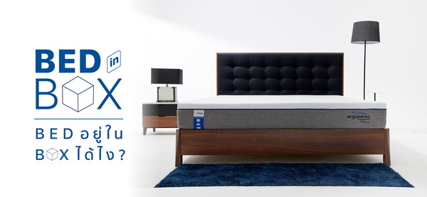 Bed ����� Box ��ѵ�������͹������ٻ��èء��ͧ ��Ҷ֧�ء��鹷�� ���Դ���ͧ..�Ѵ�͡..������͹ �Ѻ�ſ����� New Normal