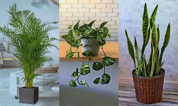 3 ������ͧ�ѹ������ ����¹�ҡ��㹺�ҹ������ط���