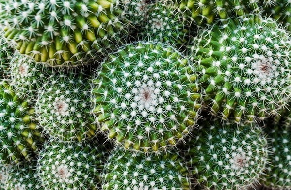 5 ����鷹ᴴ ����л�١�������§ ������鹷�����������Ѻ��ͧ�س