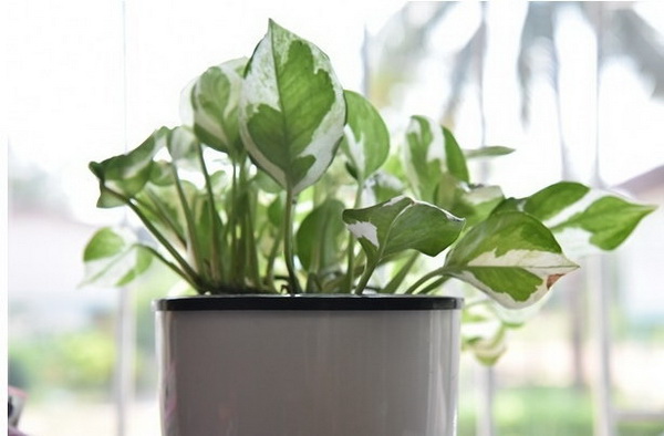 5 ����鷹ᴴ ����л�١�������§ ������鹷�����������Ѻ��ͧ�س