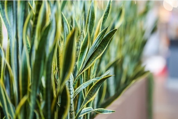 5 ����鷹ᴴ ����л�١�������§ ������鹷�����������Ѻ��ͧ�س