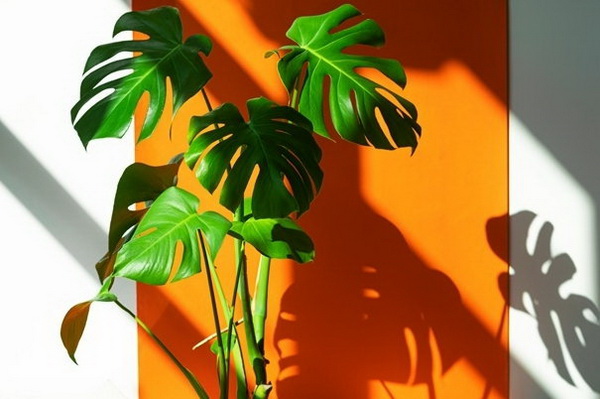 5 ����鷹ᴴ ����л�١�������§ ������鹷�����������Ѻ��ͧ�س