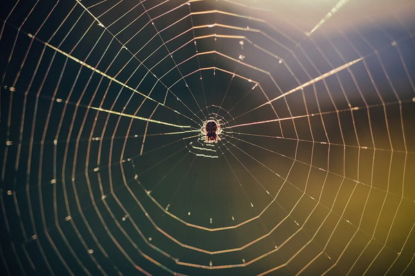 �Ը���������� - ��ͧ�ѹ��������������Һ�ҹ