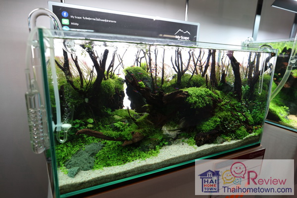 ��СǴ�ǹ����� ��Ҵ�