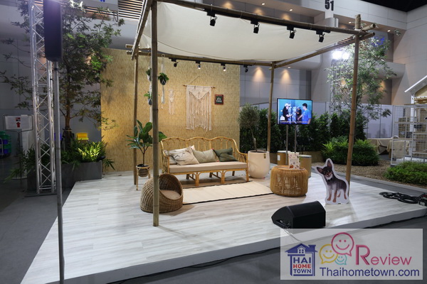 ����Ҩ���ǡ���������