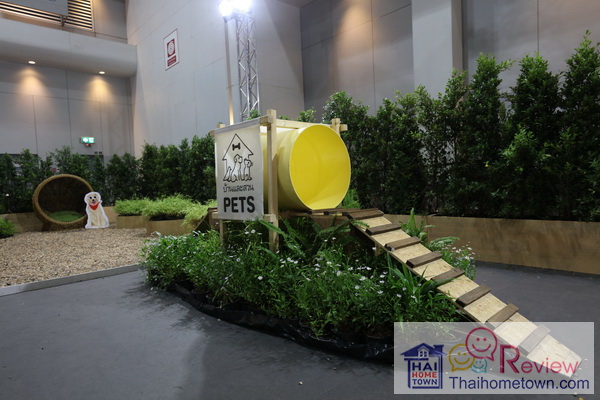 ����Ҩ���ǡ���������