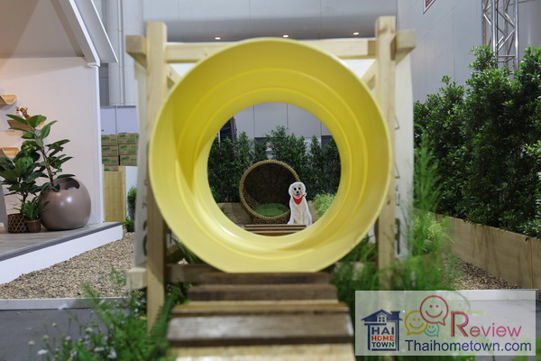 ����Ҩ���ǡ���������