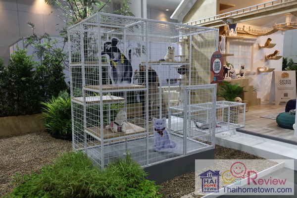 ����Ҩ���ǡ���������