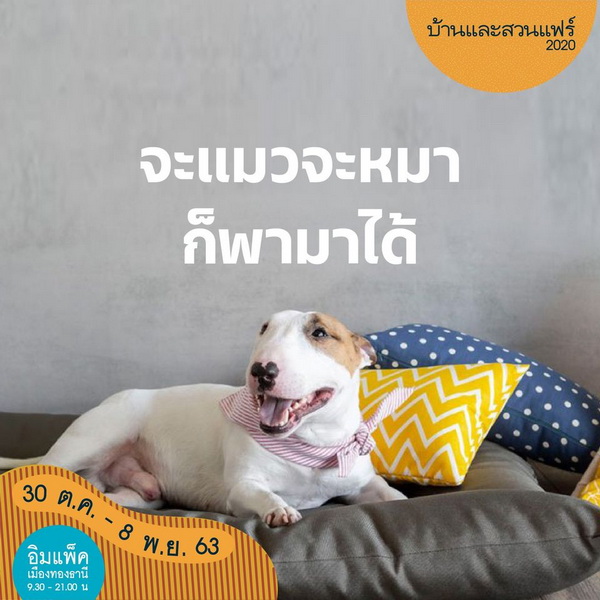 10 เหตุผลที่ต้องมางาน บ้านและสวนแฟร์ 2020