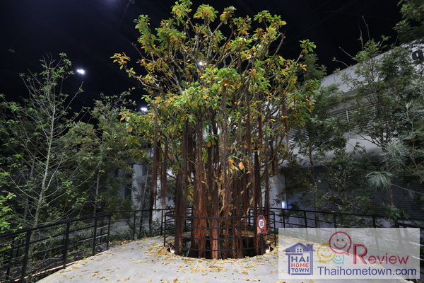 �������ش�ʹ�ǹ��� �ҡ�����������