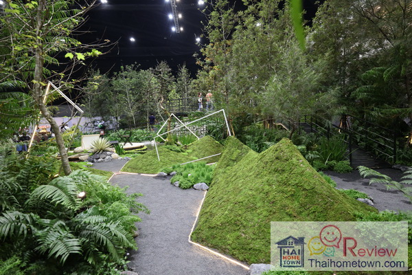 �������ش�ʹ�ǹ��� �ҡ�����������