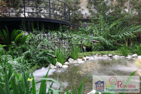 �������ش�ʹ�ǹ��� �ҡ�����������