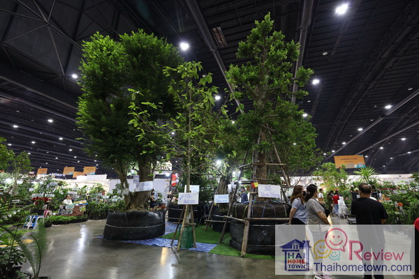 ���͡�����ʺ��� �Թ�ѧ䧡������͹