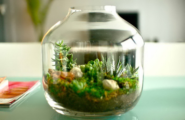 ����¨Ѵ�ǹ ����Ѻ��ҹ��ǹ����