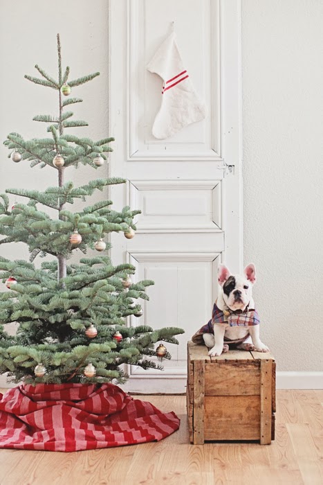 ������觺�ҹ �Ѵ�������Ѻ�ѹ���ʵ����