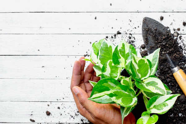 ���ѡ��� 10 ��Դ ���ŧ��� ��١�������й͡��ҹ