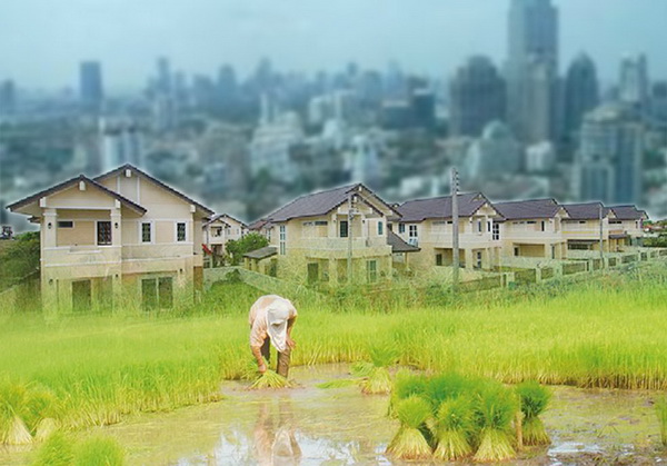 คลัง เผยมาตรการ ลดภาษีและค่าธรรมเนียม บรรเทาโควิด-19