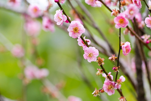 13 �ͧ�觺�ҹ���� ��͹�Ѻ���ɨչ 2564