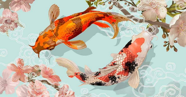 13 �ͧ�觺�ҹ���� ��͹�Ѻ���ɨչ 2564