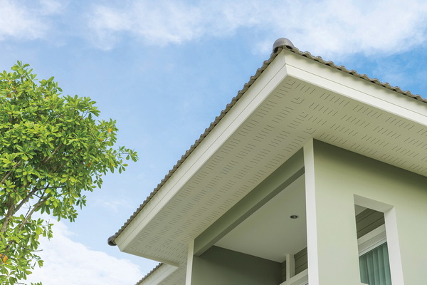 �Ըդ������͹��� ��ҹ�ٹ ��͹���˹���������