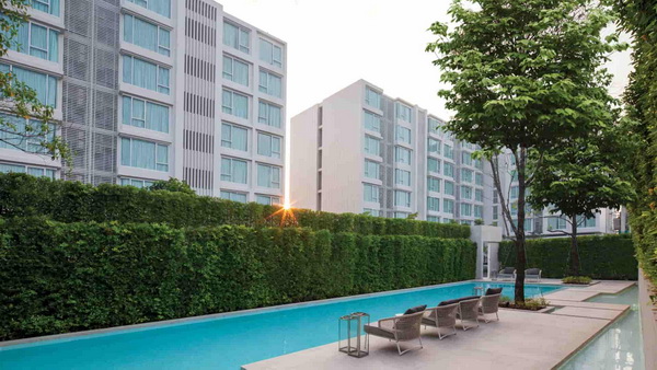 ����� ������ 