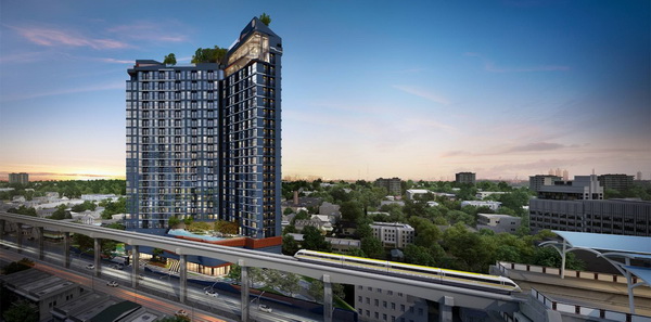 �� ���Ԩ�� �Ҵ�����-�ҧ�л� �͹����� �֡�٧���������ҧ�л� ����������� ������ش��������ö俿�� 3 ���