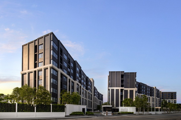 �ͧ��§ 5,000 �.* ��ʻ�� �آ���Է-��͹�ت �͹���ͧ�˭��������� �ҤҴշ���ش���͹�ت ���! �ء��������*