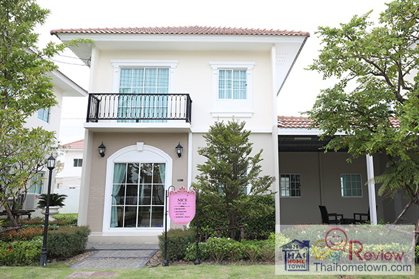 ����Ǻ�ҹ������ҧ �Ź���� ��Ի ��չ��Թ��� - ෾��ѡ��