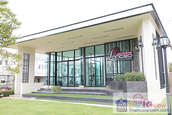 �ش�蹷����ʹ� �����ç��� �Ź���� ��Ի ��չ��Թ��� - ෾��ѡ��