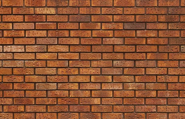 ��ͤ����� ��͹���͡���ҧ��ҹ�����԰�ͭ