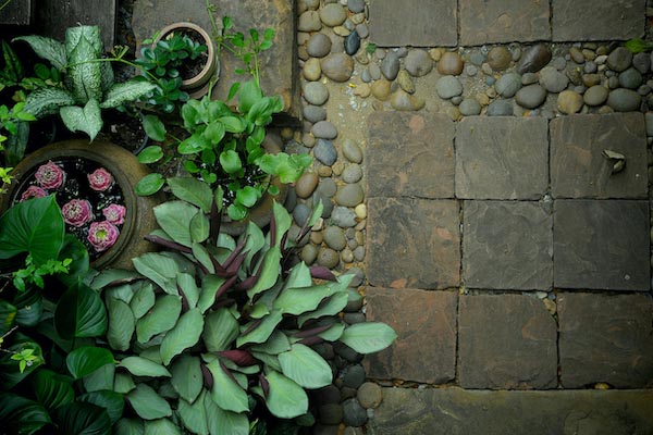 ෤�Ԥ��èѴ��ҹ�˹����͹ �����ѡ�ǧ����